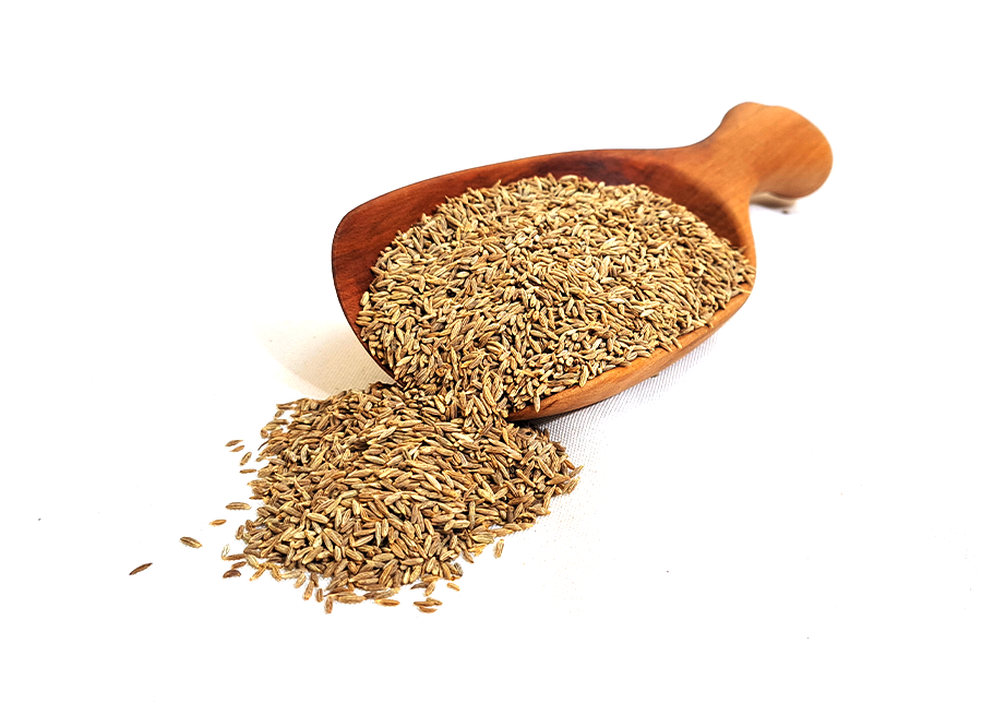 Cumin Seeds